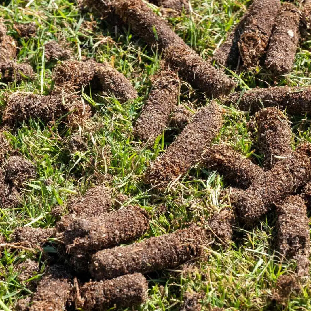 Aeration