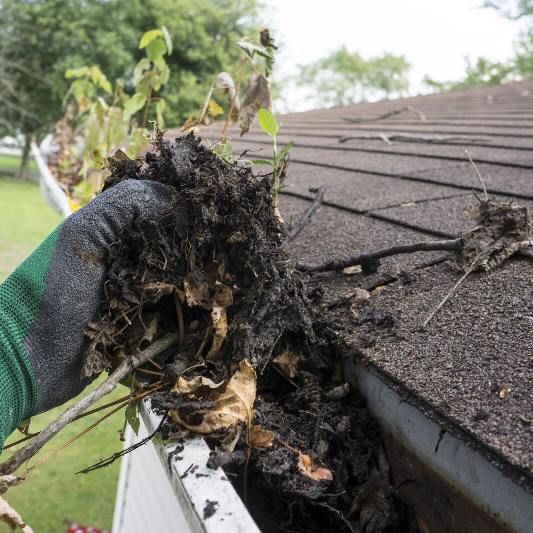Gutter Cleaning
